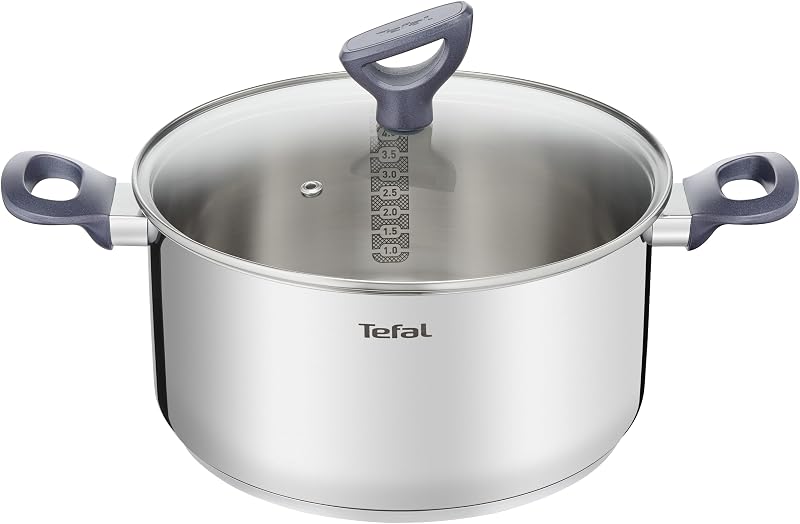 Tefal G7124614 Dailycook Stewing Pot 24 cm + Lid for All Heat Sources Including Induction Stainless Steel, 24