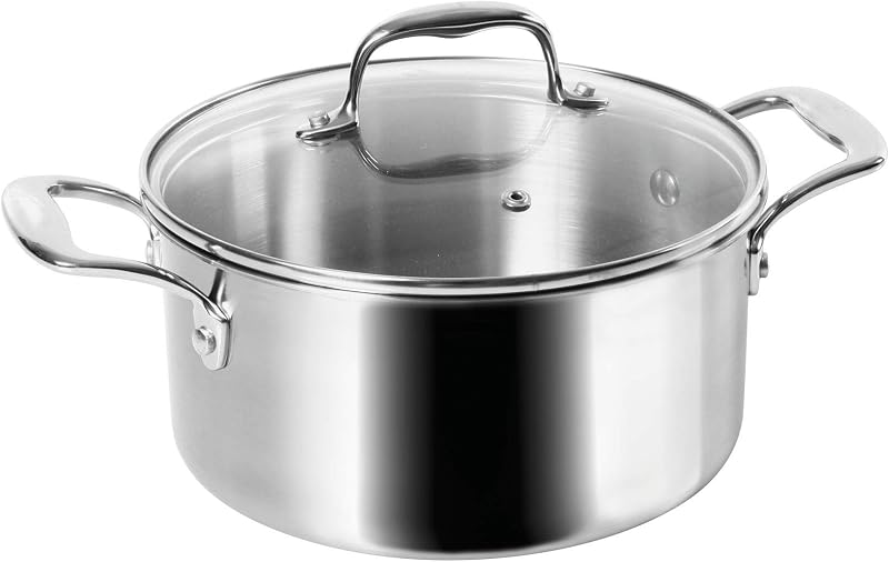 Sitram Rapsody 710737 Professional Quality Stainless Steel Stewing Pot Diameter 24 cm with Glass Steam Lid Sui