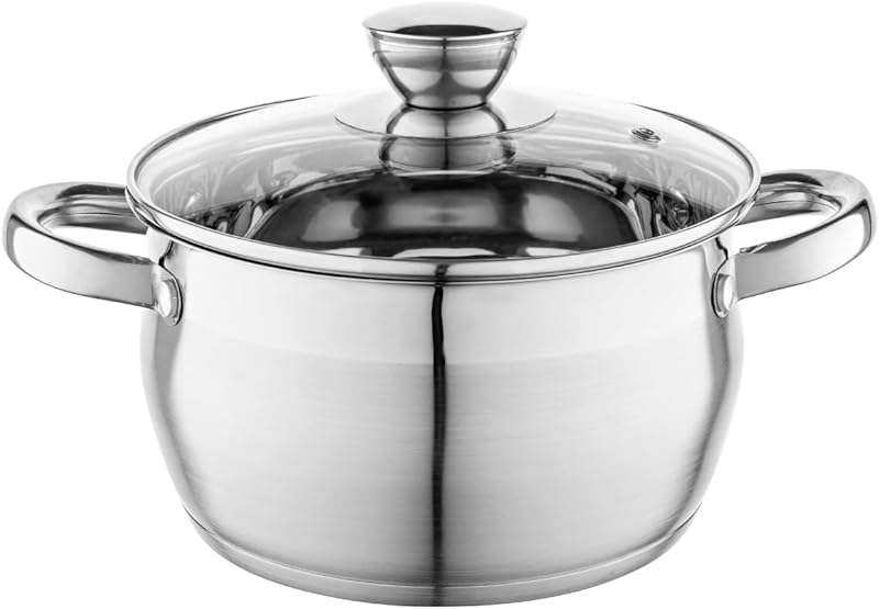 FLORINA 3.4 Litre Saucepan with a Diameter of 20 cm and Stainless Steel Saucepan with Glass Lid and Saucepan f