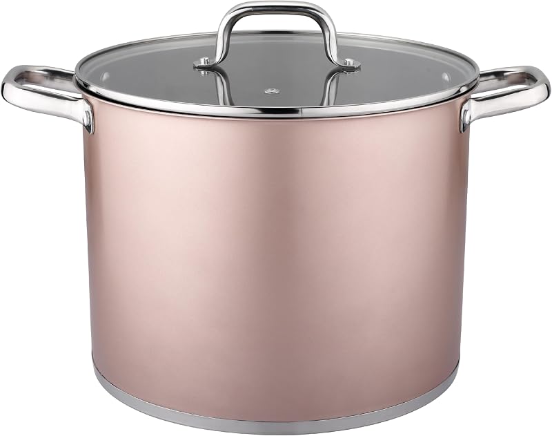 VIER - Stainless steel casserole dish 28 cm diameter x 22 cm high, polished interior with measuring scale, cap