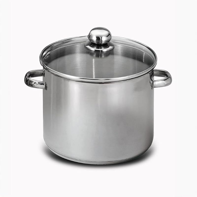 BAUMALU - Stainless Steel Catering Pot - Glass Lid, Steam Hole, Metal Handles - Suitable for All Heat Sources 