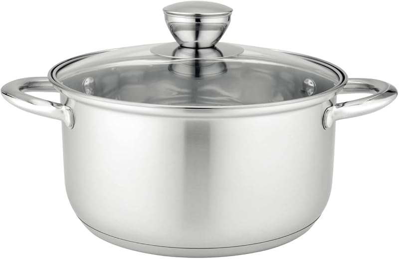 FLORINA Matteo 20 cm 3.6 L Stainless Steel Saucepan with Glass Lid | Suitable for Induction, Gas, Electric and